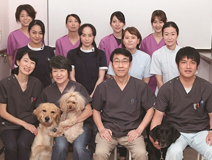 田中動物病院(横浜)[新卒]の画像1