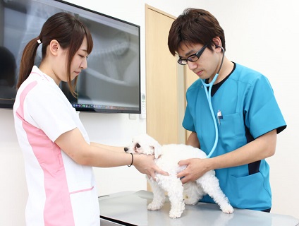 もふもふ動物病院の画像１