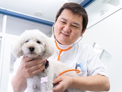 かず動物病院の画像