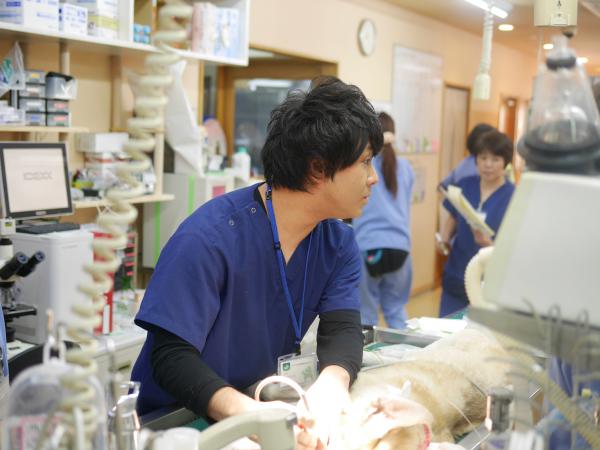 【アニファ動物病院 尾山台病院】獣医師募集中！！[正社員][東京都世田谷区]No.110_b 画像