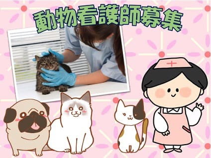 非公開求人の画像