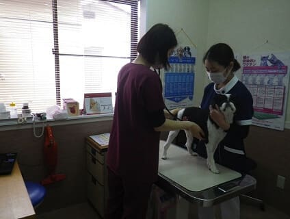 遠藤犬猫病院の画像