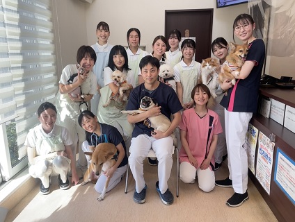 りゅう動物病院の画像１
