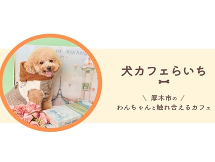 犬カフェらいちの画像