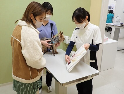 ちゅら動物病院の画像