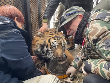 石山通り動物病院の画像