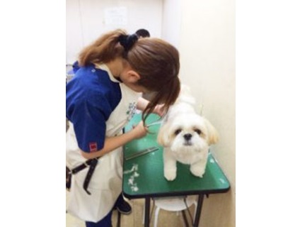 上埜動物病院の画像1