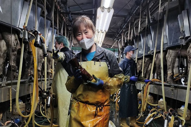 有限会社農業生産法人霞南牧場の画像