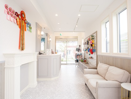 《Bloomin‘ Dog（ブルーミンドッグ）》トリマーの募集！【正社員／神奈川県茅ケ崎市】画像