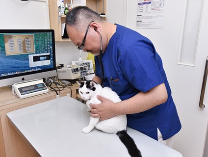 博多北ハート動物病院の画像1