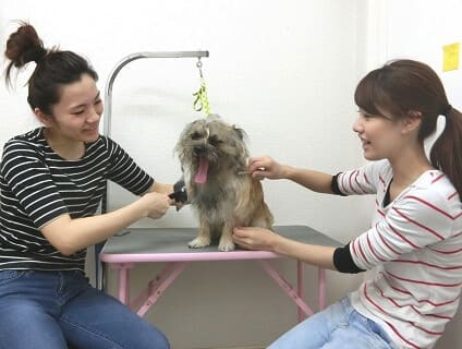 株式会社ハル犬猫病院／武蔵小金井 ハル犬猫病院の画像