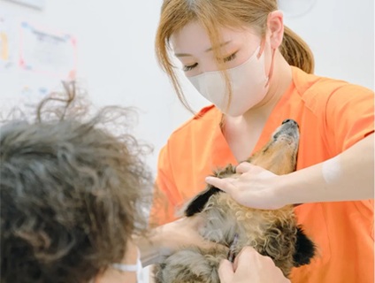 田中動物病院の画像１