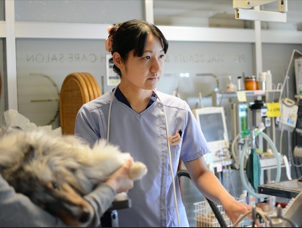 ALTs(アルタス)動物病院の画像１