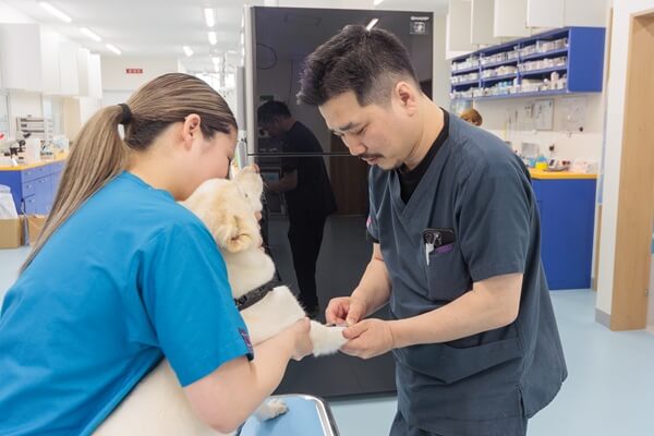 くじら動物病院　岡崎病院の画像