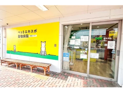 アルダグループ（A'alda X株式会社）／DCC動物病院　愛知県エリアの画像１