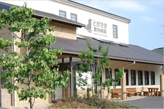 [▼とがさき動物病院▼]動物看護スタッフの募集！＜正社員／埼玉県三郷市＞No.103_b画像