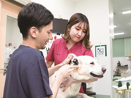 なりた犬猫病院[新卒]の画像
