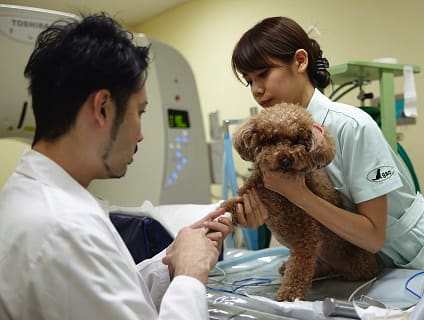 千里桃山台動物病院の画像１