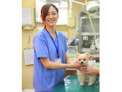 アニファ動物病院 松戸病院の画像