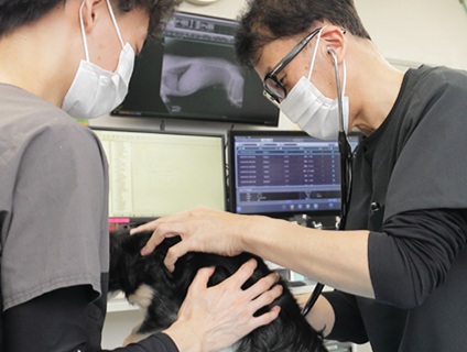 こざわ犬猫病院・バステトキャトクリニックの画像１