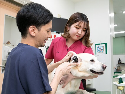なりた犬猫病院の画像