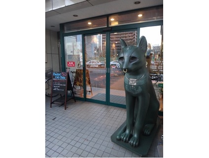 こざわ犬猫病院／猫の病院 バステトキャットクリニックの画像