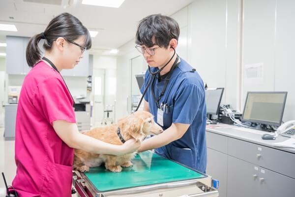 市原山口動物病院の画像