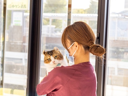 プリべ動物病院 名古屋分院の画像１