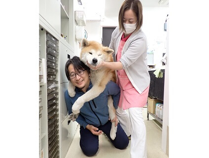 ▼リリーフ動物病院行徳▼動物看護スタッフの募集中！〈正社員／千葉県市川市〉画像