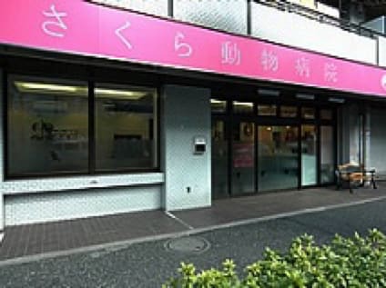 ＜さくら動物病院＞動物看護スタッフの募集[アルバイト・パート][東京都杉並区]No.104_d_a0b7F000000OU3ZQAW画像