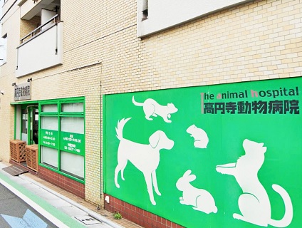 高円寺動物病院（アニホック動物病院グループ）の画像１
