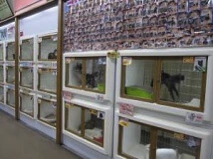 ペットステーションハセガワビバホームあすみが丘店／有限会社エクセレントペットの画像
