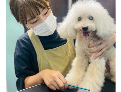 PET CARE PLACE 横浜大岡店の画像1