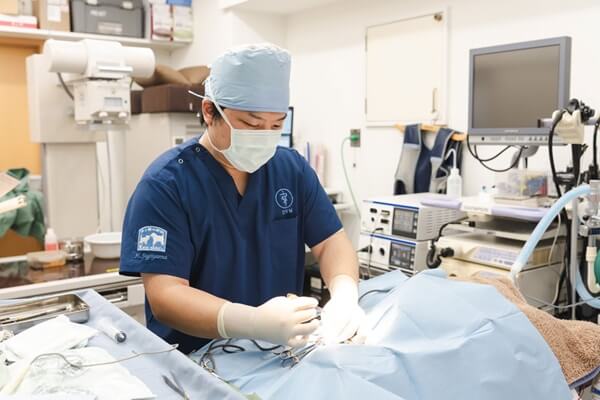 犬と猫の病院Kendoc.の画像11