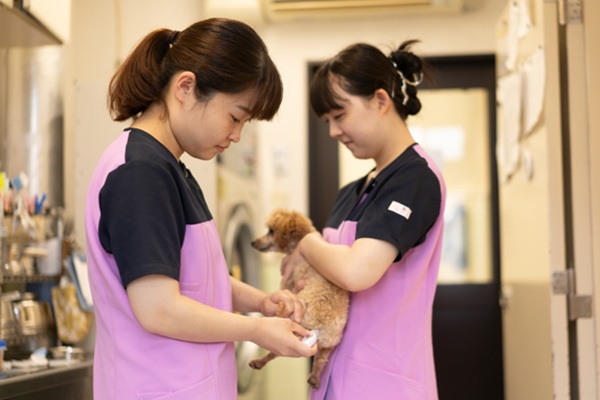 さわもと犬猫病院の画像6