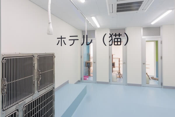 くじら動物病院　岡崎病院の画像11