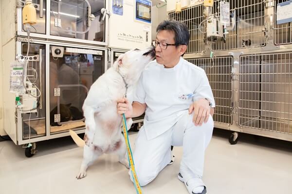 さわもと犬猫病院の画像12