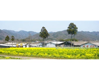 有限会社日吉ファーム 代表／藤堂　祐士