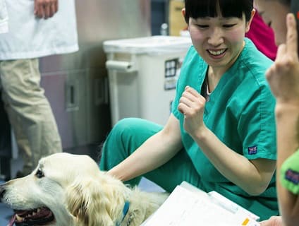 辻堂犬猫病院 動物看護師募集中 正社員 神奈川県藤沢市 動物看護師の求人 転職 募集ならアニマルジョブ