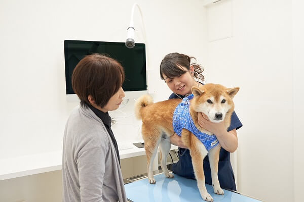 ミズノ動物クリニックの画像2