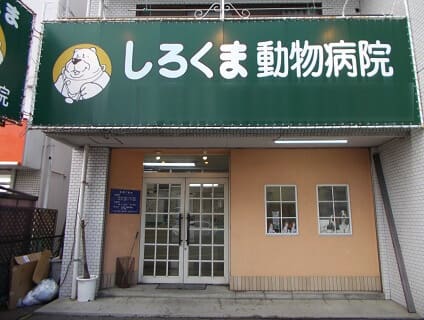 しろくま動物病院 獣医師の募集 正社員 広島県広島市安佐北区 No 104 D A0b7fojmsqag 獣医師の求人 転職 募集ならアニマルジョブ