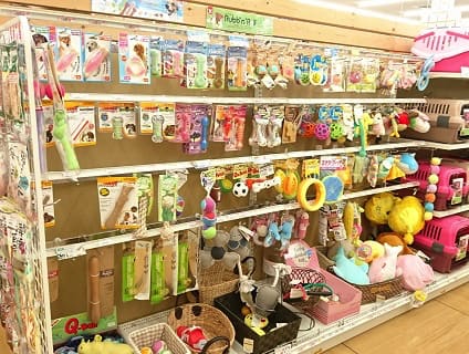 ペットアミ新潟西店 トリマーさんを募集中 正社員 新潟県新潟市西区 No 110 B トリマーの求人 転職 募集ならアニマルジョブ