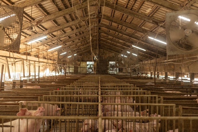 有限会社 秋川飼楽園の画像11