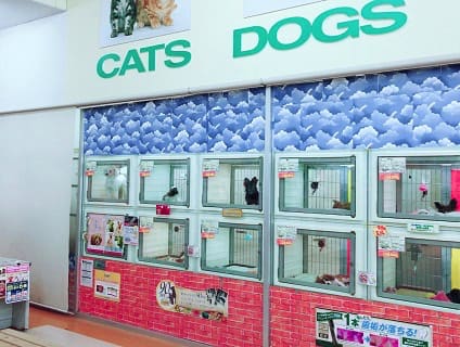 ペットアミ新津店のトリマー アルバイト パート求人 新潟県新潟市秋葉区のペットサロン ペットホテル アニマルジョブ