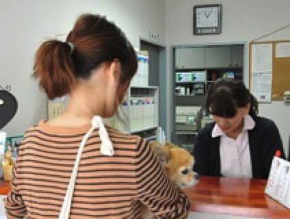 大阪府 動物看護師 Vt 病院スタッフの求人 転職 募集情報一覧 アニマルジョブ
