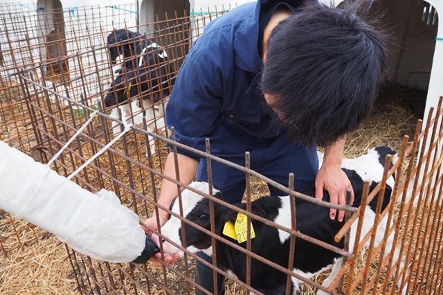 株式会社別海ミルクワールドの画像5