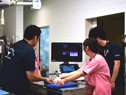 くじら動物病院　豊橋病院の画像5