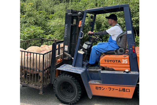 有限会社サン・ファーム橋口の画像7