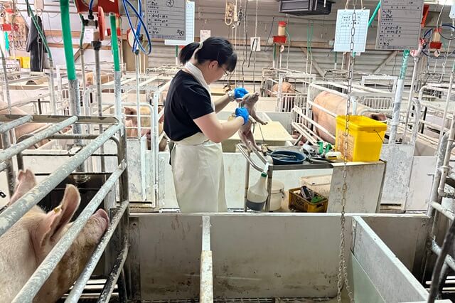 有限会社あさのの画像3