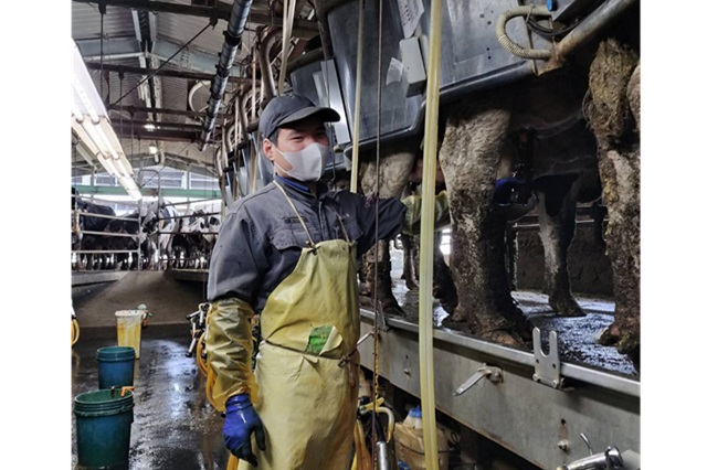 有限会社農業生産法人霞南牧場の画像6